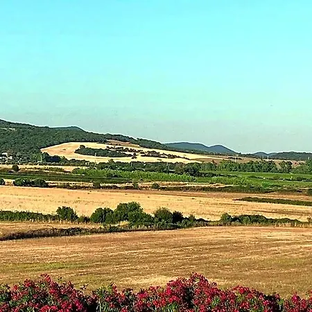 Le Casette Di Fra מלון דירות Tolfa
